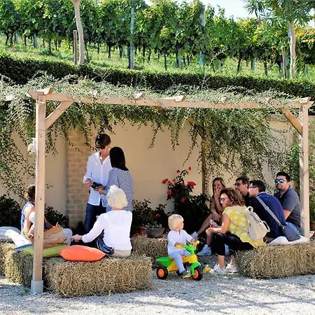 Cantina Le Canà Carassai