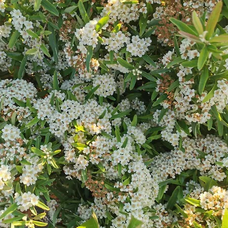 アパート Cantina Le Cana *