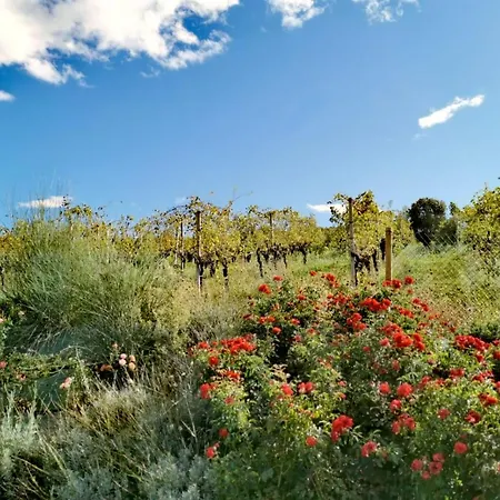 アパート Cantina Le Cana