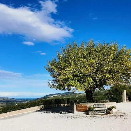 Cantina Le Canà