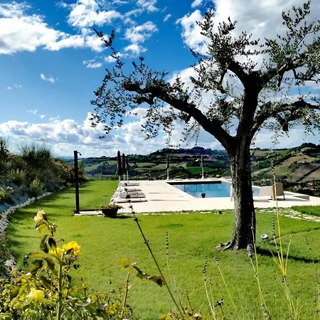 Cantina Le Cana アパート Carassai