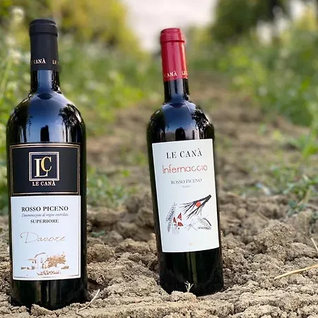Cantina Le Canà Carassai
