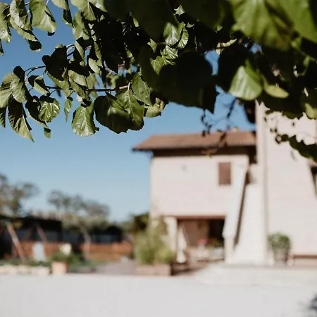 Cantina Le Cana アパート *