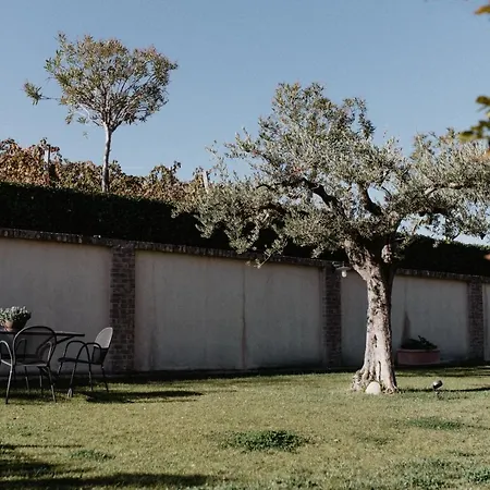 Cantina Le Cana アパート Carassai