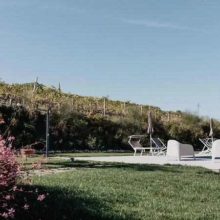 Cantina Le Cana Carassai