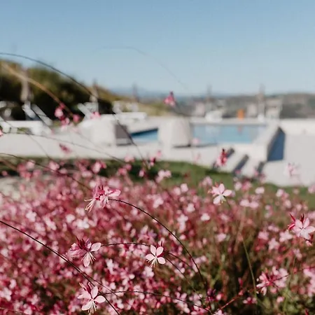 Cantina Le Cana アパート Carassai