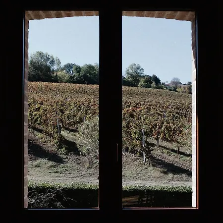 アパート Cantina Le Cana Carassai