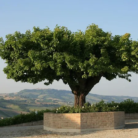 Cantina Le Canà