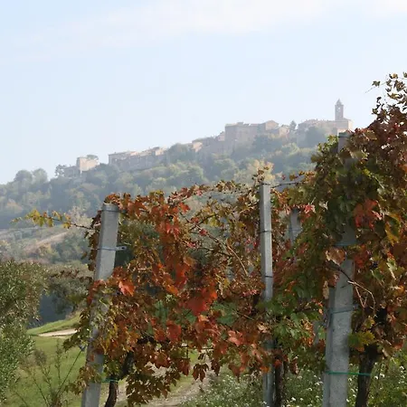 Cantina Le Canà Carassai